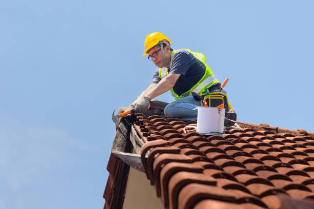 Best Roof Leak Repair  in Chincoteague, VA